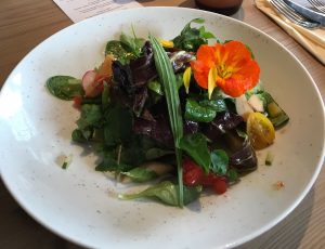 Laurus Vital - leckerer Salat